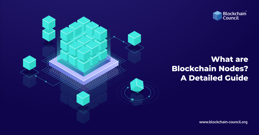 Picture of: What are Blockchain nodes? Detailed Guide – Blockchain Council